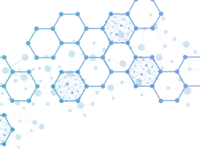 accent-top-left-2