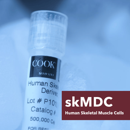 skmdc