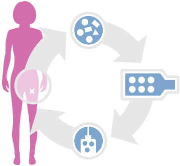 Clinical Process