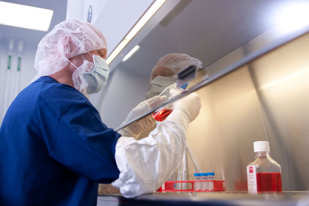 skMDC Skeletal Muscle Cells Cook MyoSite